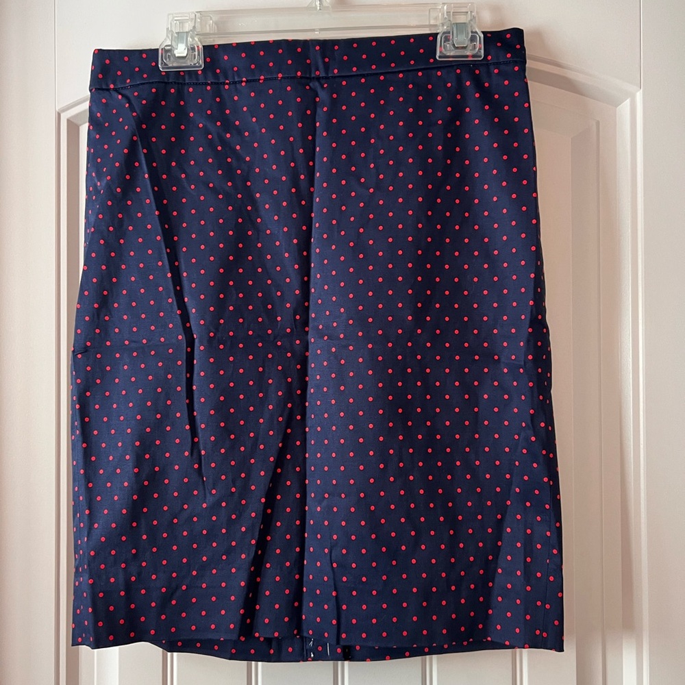 NEW WITH TAGS Skirt